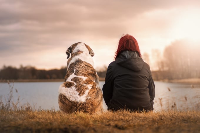 Canine Myofunctional Therapy